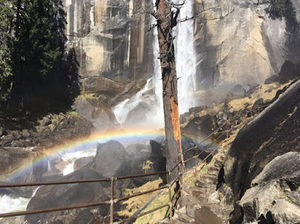 Meet your Posher, Jack